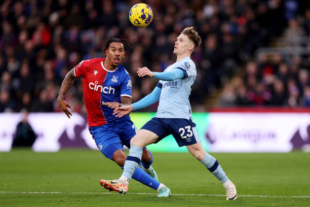 自己独特的 自己独特的